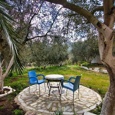 The Olives Lazarat
