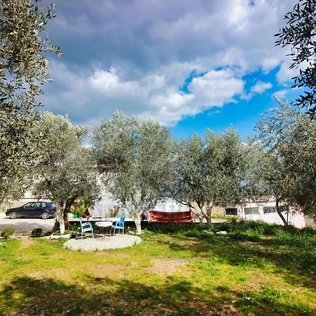 Penzion The Olives *