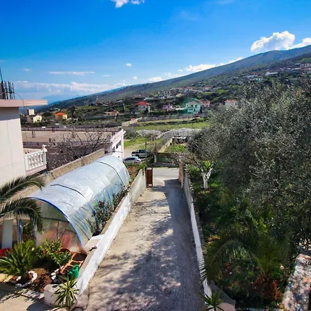 The Olives Guest house